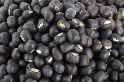 Black gram
