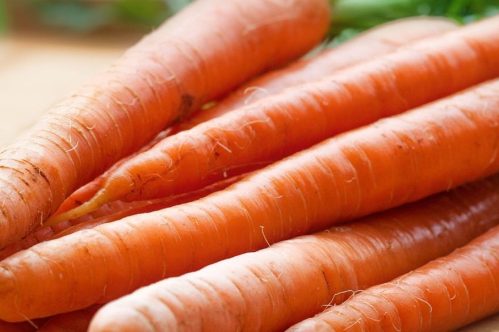 Carrot