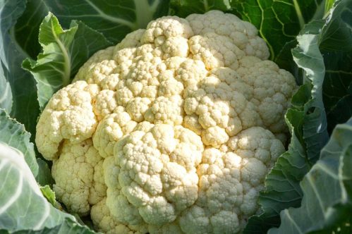 Cauliflower