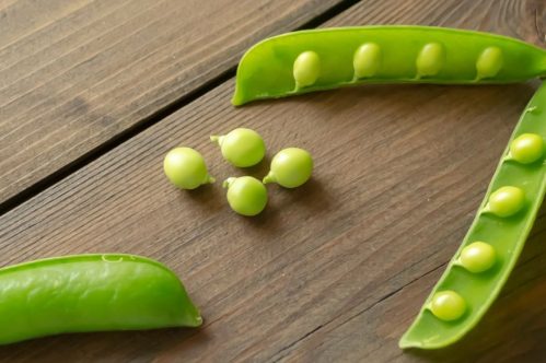 Pea